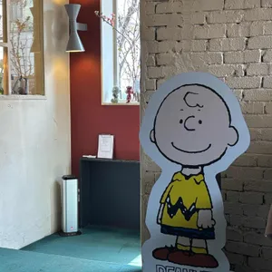 꽁티드툴레아 리뷰 사진