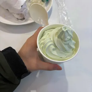 코스트코코리아 사진