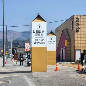 플러스마이너스 밀크티 리뷰 사진
