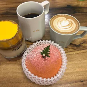 오딘 사진