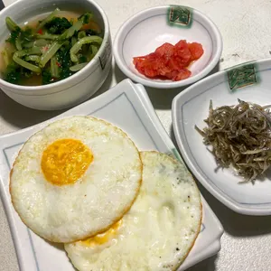 용꿈 사진