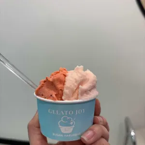 젤라또조이 사진
