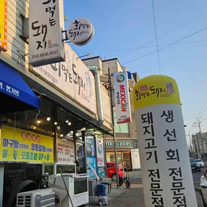 회먹는돼지 사진 2