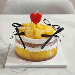 프레젠트 사진