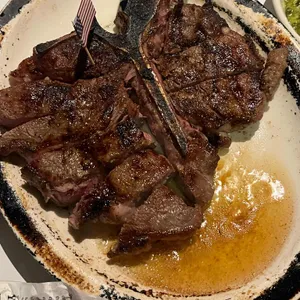놉스 사진