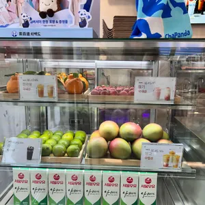 차백도 리뷰 사진