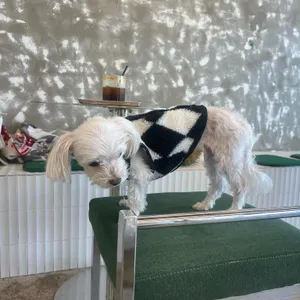 크크커피 리뷰 사진