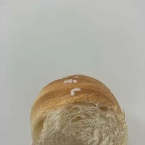 쏠뵈르 사진