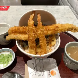 마츠노하나 사진