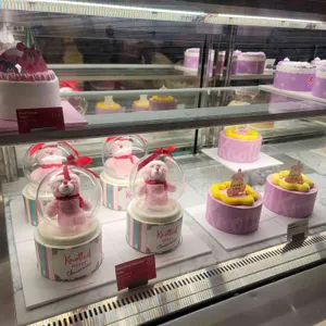 노티드월드 사진