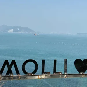 몰리힐스 사진 2