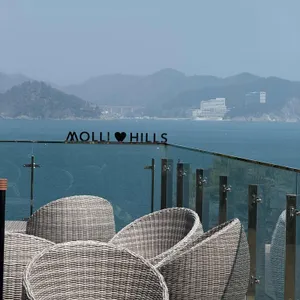 몰리힐스 리뷰 사진