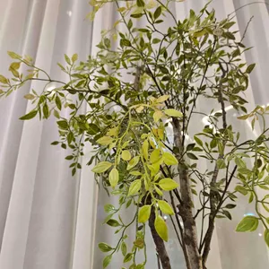 할리스 리뷰 사진