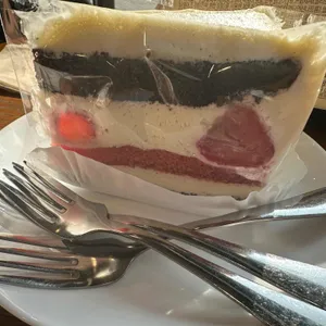 스타벅스 사진