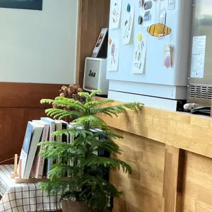 카페 솜솜 사진 1