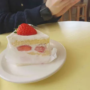 몽몽드 사진 2