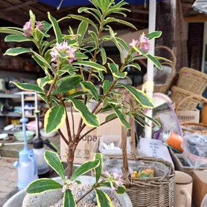 하늘정원 리뷰 사진