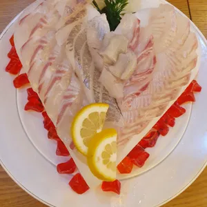 회 하야부사 사진