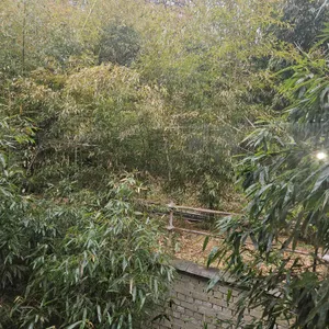 서원안길 리뷰 사진