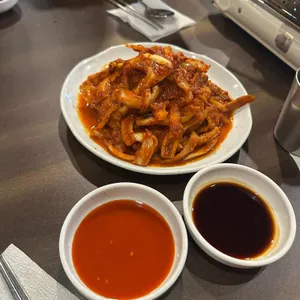 오징어풍경 사진