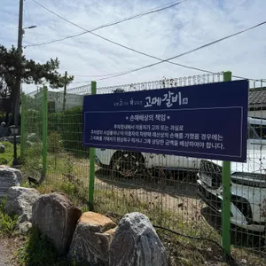 고메갈비 리뷰 사진