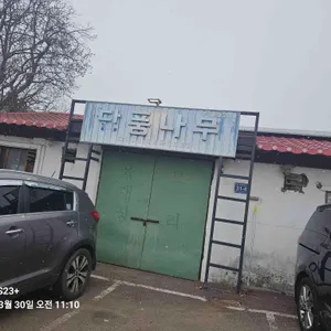 단풍나무 리뷰 사진
