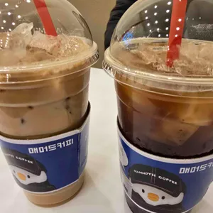 매머드 사진