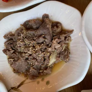 벽오동 사진
