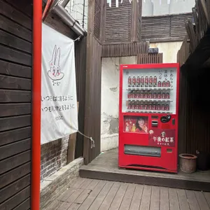 코히별장 리뷰 사진