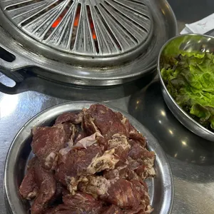 마포 갈매기 사진