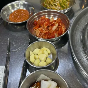 마포 갈매기 사진