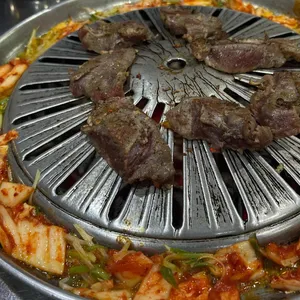 마포 갈매기 사진