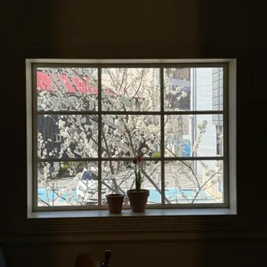 제리베리 리뷰 사진