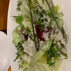 마조레 사진