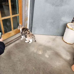 카페 한라산 리뷰 사진