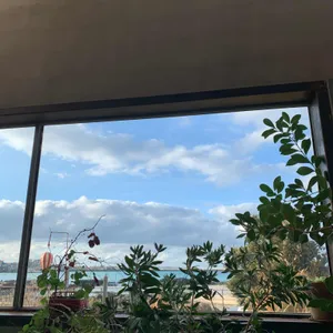 카페 한라산 대표 사진