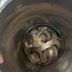 낙지힘낙지 사진