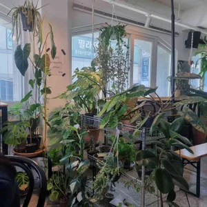 BCBL coffee roasters 리뷰 사진