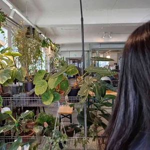 BCBL coffee roasters 리뷰 사진