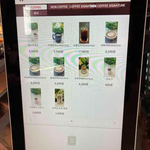 노부스테라 리뷰 사진