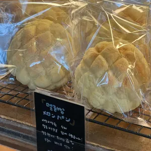아오이토리 사진