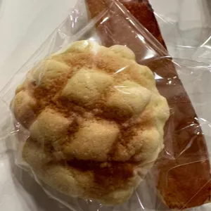 아오이토리 사진