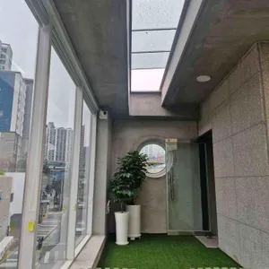로야 리뷰 사진