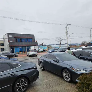 영천새우칼국수 리뷰 사진