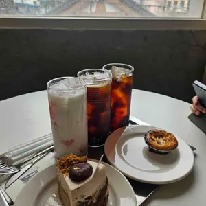 스테드 사진