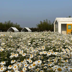 오늘여기 리뷰 사진