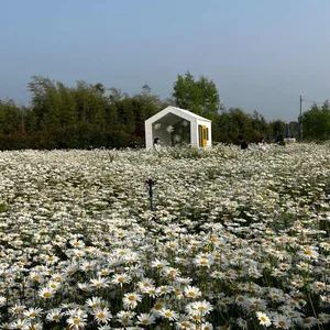 오늘여기 리뷰 사진