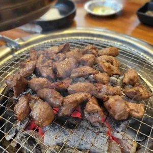 돈돼지 사진