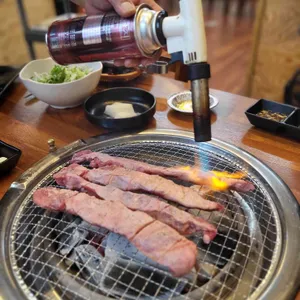 돈돼지 사진