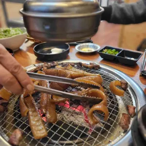 돈돼지 사진